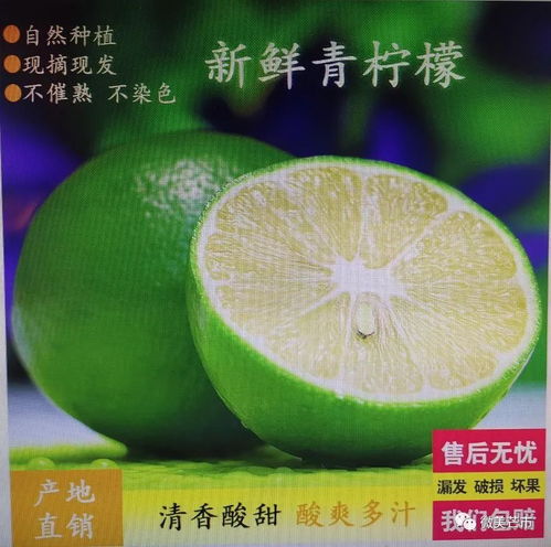 芒市注入兩千余萬資金，以電商賦能鄉村振興