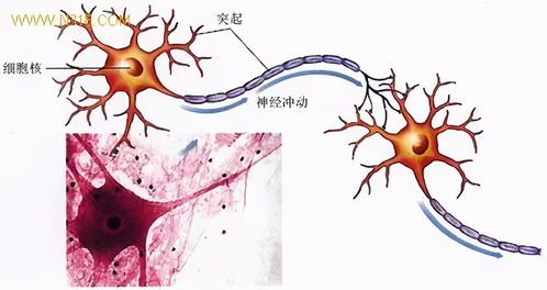 生物農藥與化學農藥 如何科學選擇，這里有深入分析